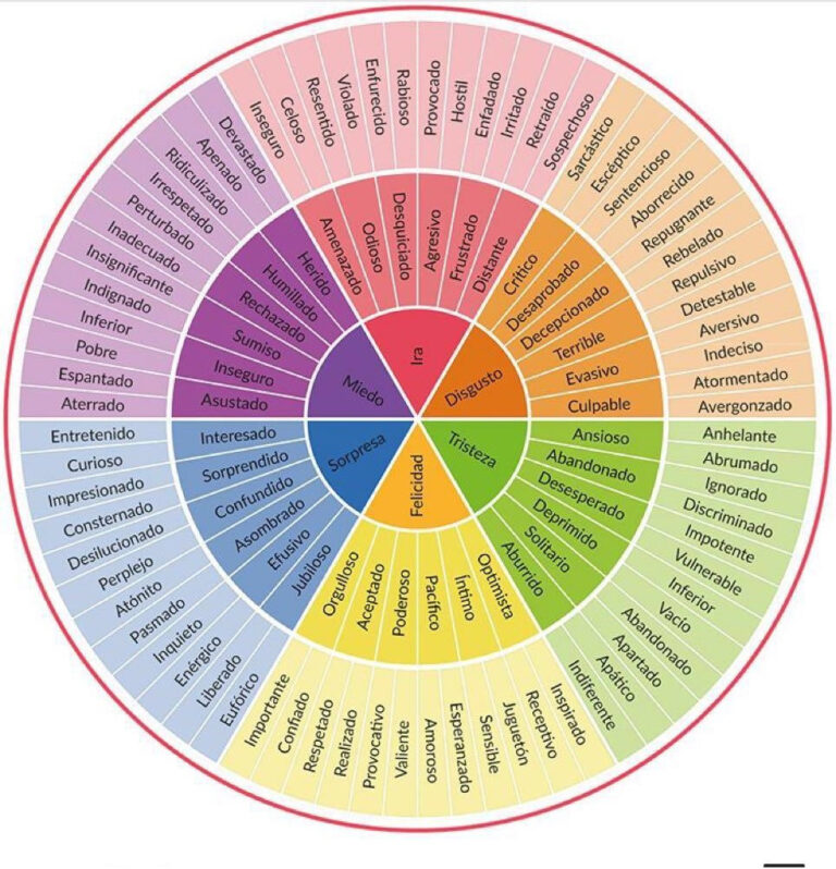 La rueda de las emociones, para ir más allá del "bien", "mal", "voy tirando".
