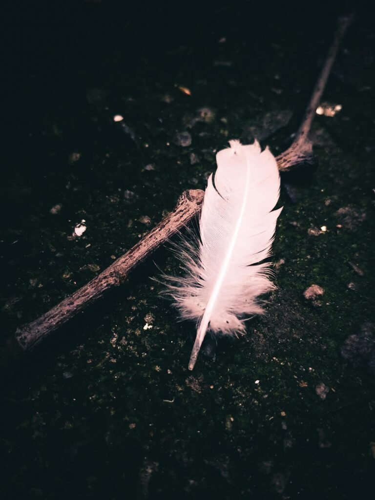 Con plumas y sin plumas